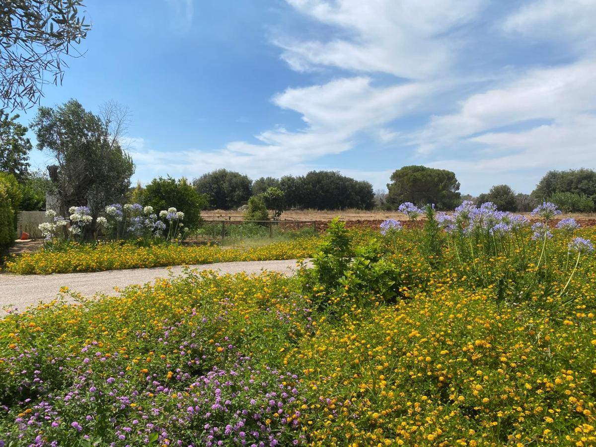 גאליפולי Casa Anna, Agriturismo Alla Castellana מראה חיצוני תמונה