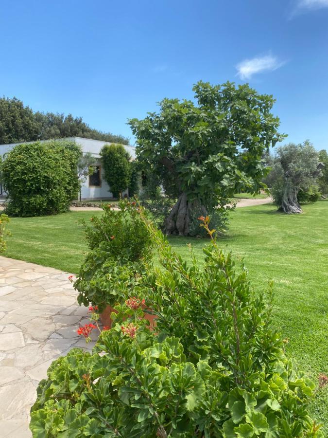 גאליפולי Casa Anna, Agriturismo Alla Castellana מראה חיצוני תמונה