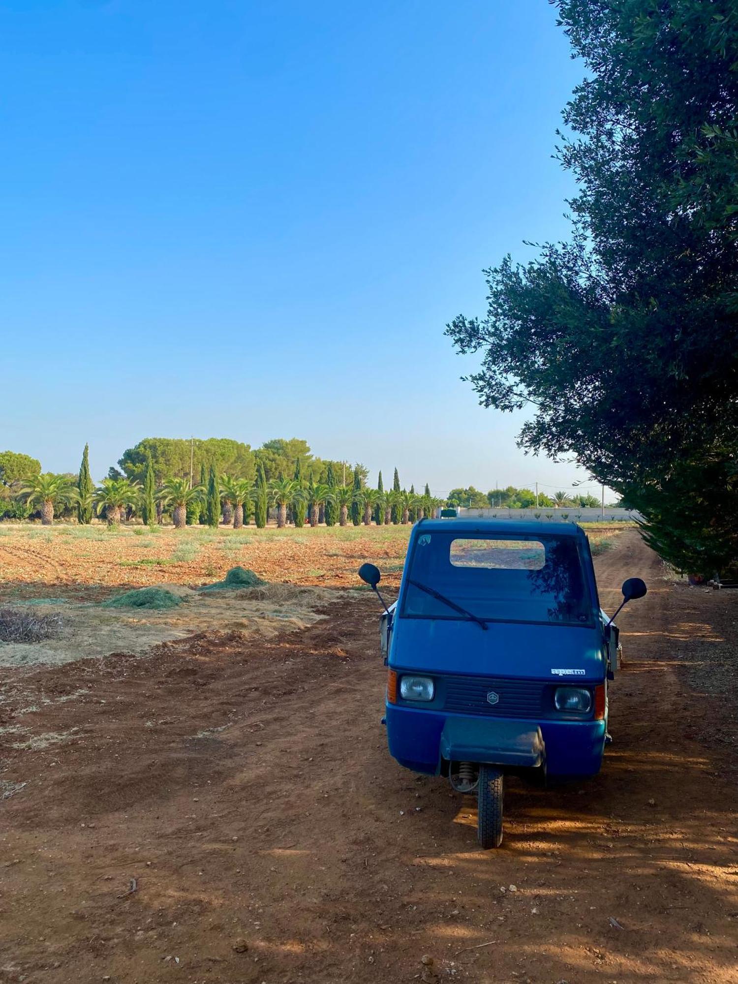 גאליפולי Casa Anna, Agriturismo Alla Castellana מראה חיצוני תמונה
